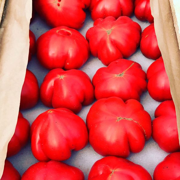 Кузовок сорт картофеля отзывы Кузовок сорт картофеля отзывы